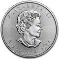 Антикварная Посеребренные металлические монеты с Выгравированным логотипом (GZHY-ЮЖД-083)